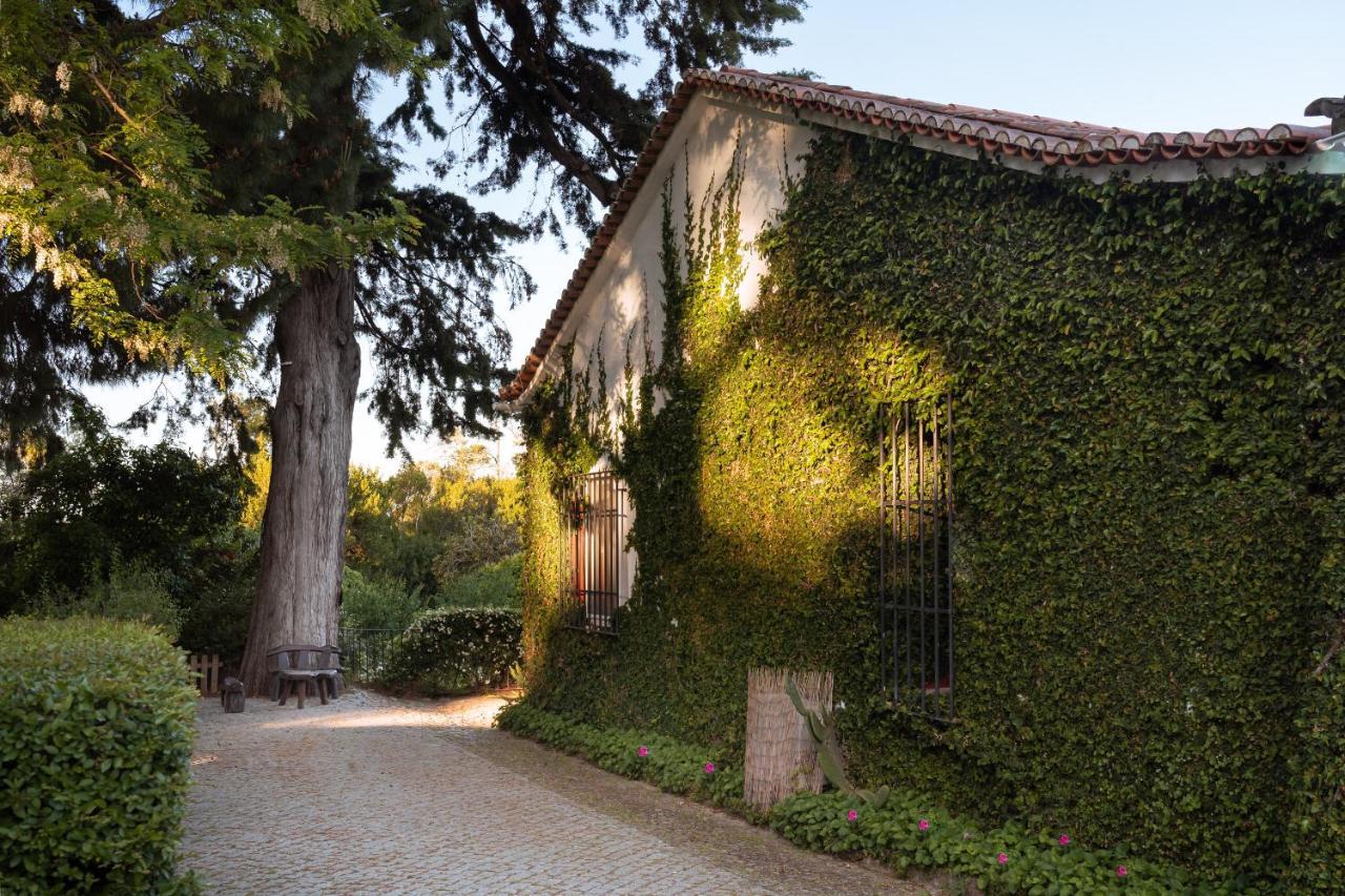 Imani Country House Évora Exteriör bild